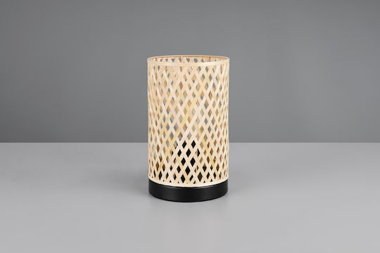 Trio Lighting Διακοσμητικό Φωτιστικό