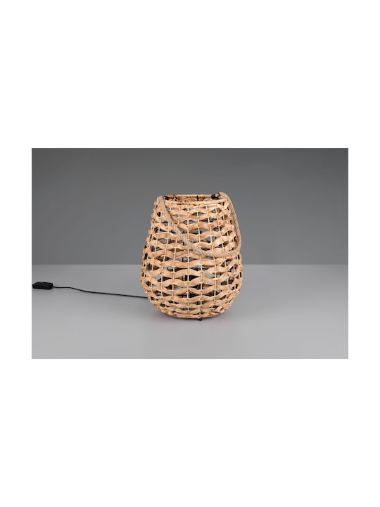 Trio Lighting Διακοσμητικό Φωτιστικό