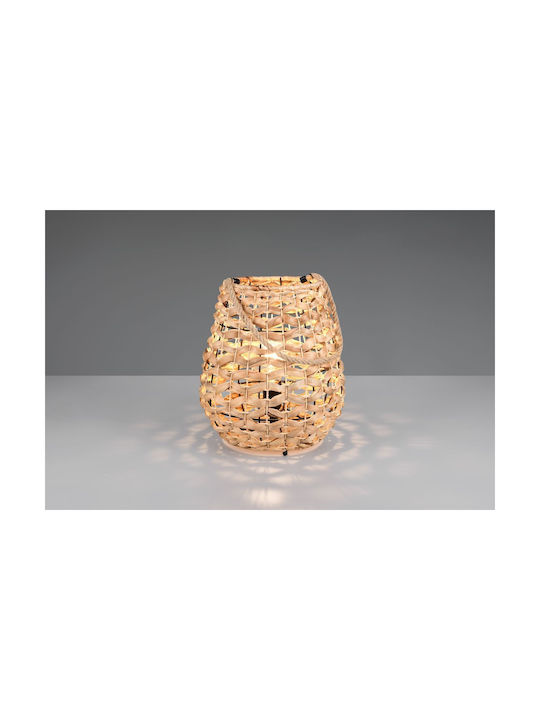 Trio Lighting Διακοσμητικό Φωτιστικό