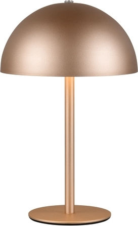 Trio Lighting Metal Table Lamp LED with Brown Shade and Base