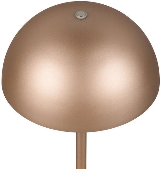 Trio Lighting Metal Table Lamp LED with Brown Shade and Base
