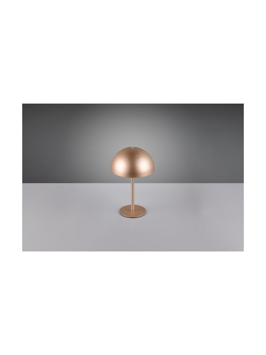 Trio Lighting Μεταλλικό Πορτατίφ LED με Καφέ Καπέλο και Βάση