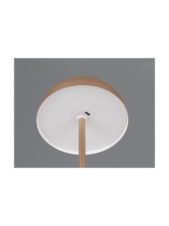 Trio Lighting Μεταλλικό Πορτατίφ LED με Καφέ Καπέλο και Βάση
