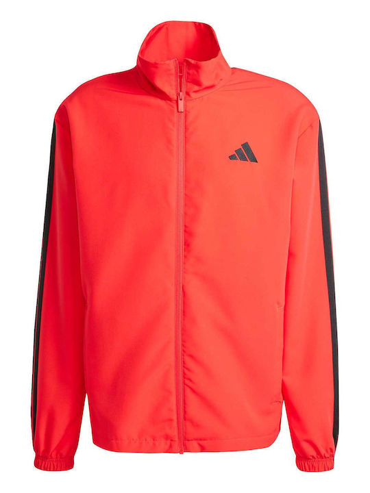 Sportswear Basic Lucios cu Elastic Red