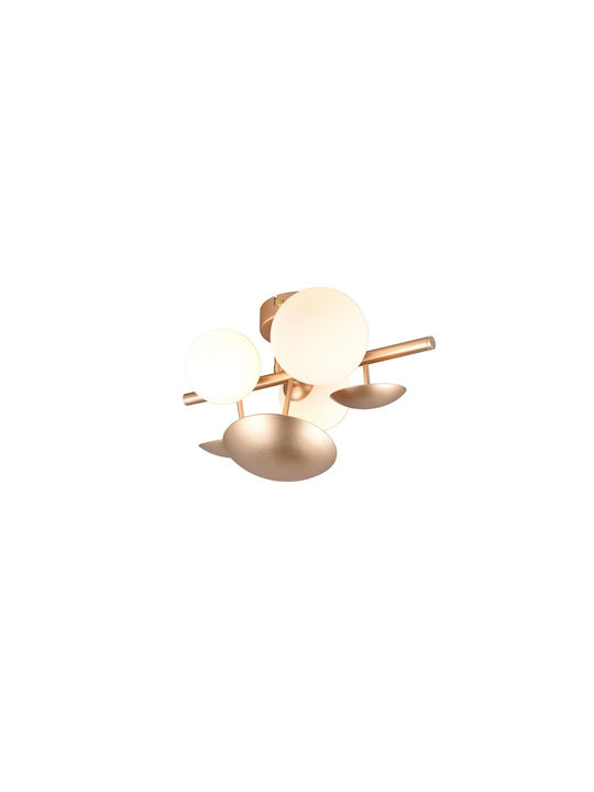 Trio Lighting Modern Leuchte Wand mit Fassung G9 Gold