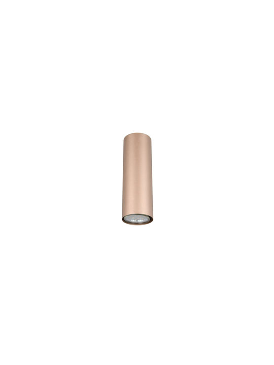 Trio Lighting Marley Modern Lamp Wall with Socket GU10 Brown 6x8x6cm