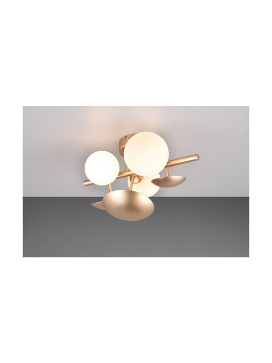 Trio Lighting Φωτιστικό Τοίχου Trio Lighting Φωτιστικό Τοίχου