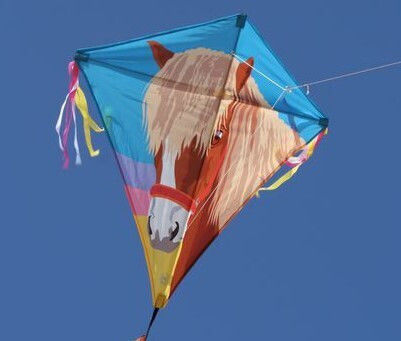 Spiderkites Rhombus Kite Fabric with Storage Bag 70x70cm 1pcs
