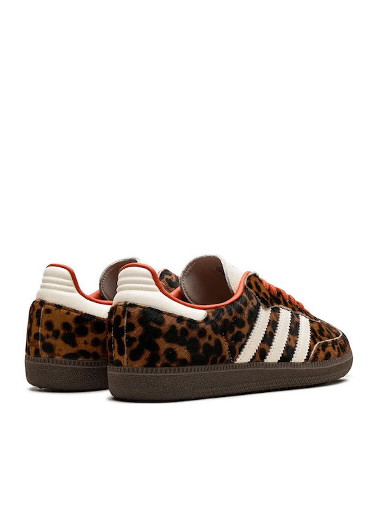 adidas adidas