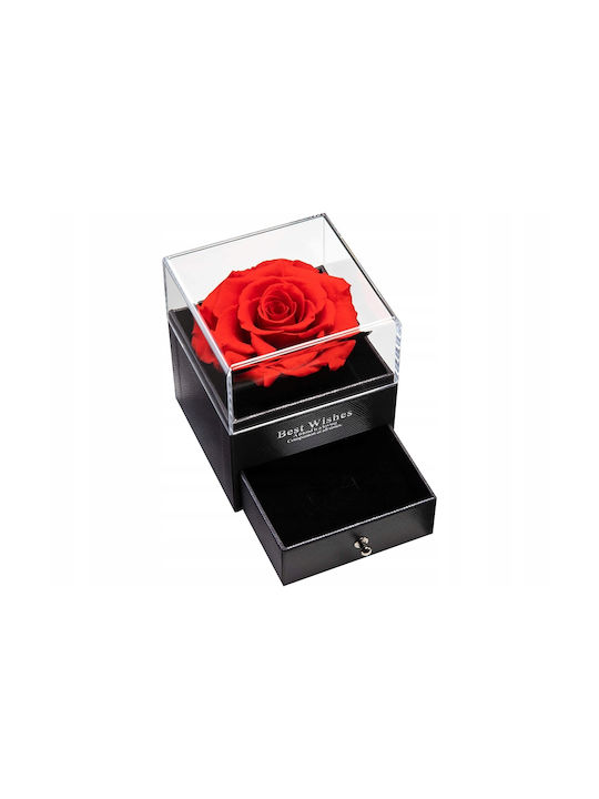 Jewelry Box Preserved Rose Zola 1 Drawer Gift Bag Greeting Card 11 X 9 X 9 Cm Black