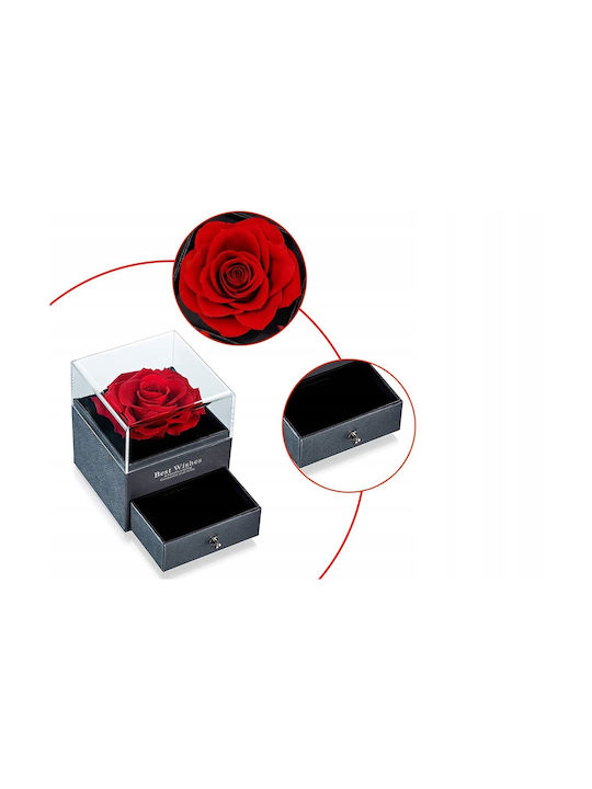 Jewelry Box Preserved Rose Zola 1 Drawer Gift Bag Greeting Card 11 X 9 X 9 Cm Black