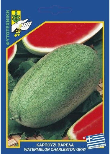 Geniki Fytotechniki Athinon Samen Wassermelone Fassgrün