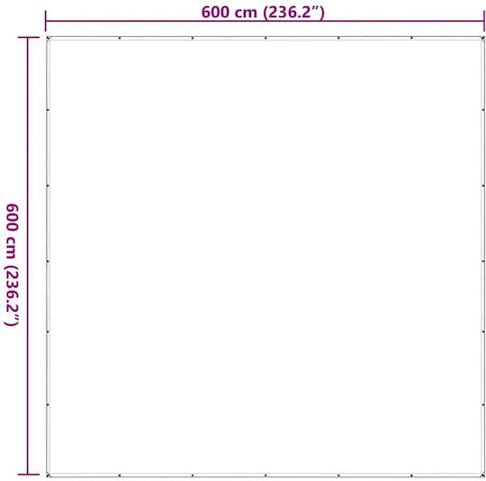 vidaXL Wasserdicht Plane 140gr/m² 6x6m. Licht Typ Transparent