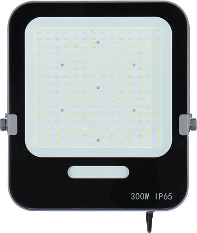 Eurolamp Στεγανός Προβολέας LED 300W Ψυχρό Λευκό 6500K IP66