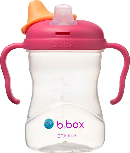 Εκπαιδευτικό Ποτηράκι Στόμιο 4m+ 240ml Spout Cup Raspberry B.box Bb621