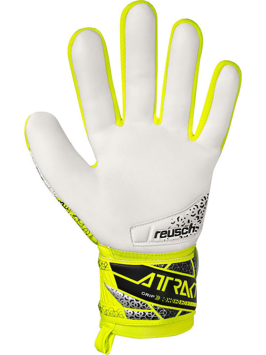 Reusch Reusch Attrakt Grip Adults Goalkeeper Gloves Silver