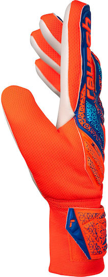 Reusch Reusch Attrakt Starter Solid Jnr Torwarthandschuhe Kinder Blau