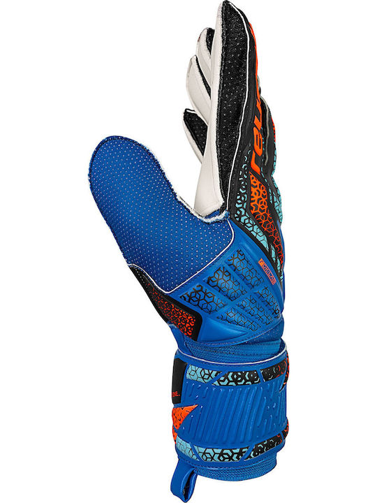 Reusch Reusch Attrakt Solid Γάντια Τερματοφύλακα Ενηλίκων Μπλε