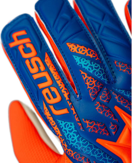 Reusch Reusch Attrakt Starter Solid Jnr Torwarthandschuhe Kinder Blau
