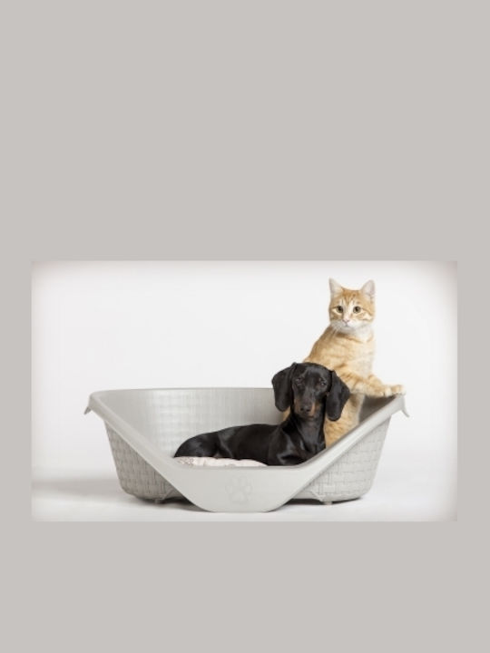 Bama Rattan Nido Sofa Dog Bed Gray 50x35cm
