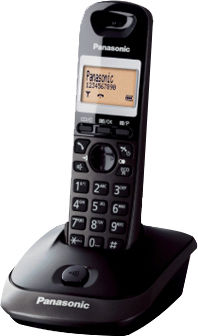 Panasonic KX-TG2511PDT Telefon fără fir Metallic Gray
