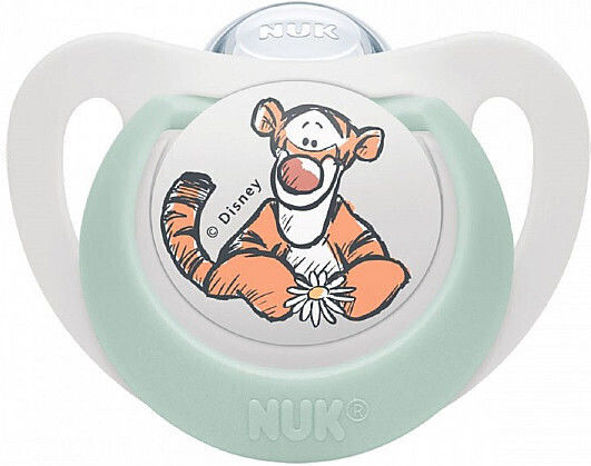Nuk Disney Pacifier Silicone with Case Winnie - Pistachio for 0-6 months