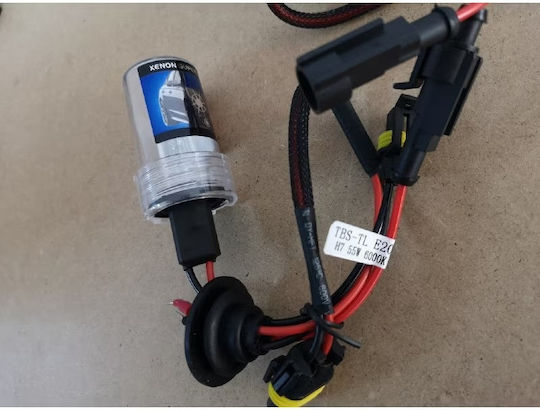 Lămpi Autoturismului & Motocicletei H7 Xenon 6000K Alb rece 12V 55W 2buc