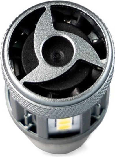 M-Tech Λάμπα Αυτοκινήτου P21/5W Canbus LED Λευκό 12-24V 10W