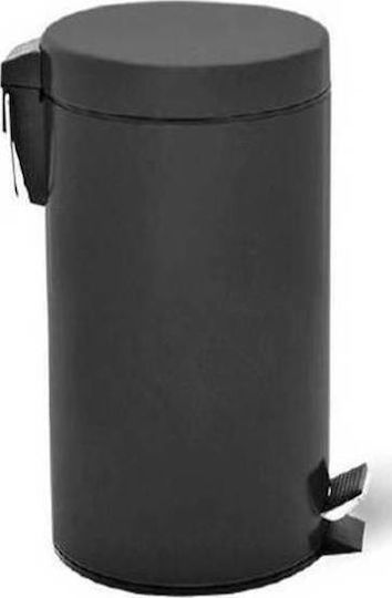 Delta Cleaning Metallic Waste Bin 20lt with Pedal Inox