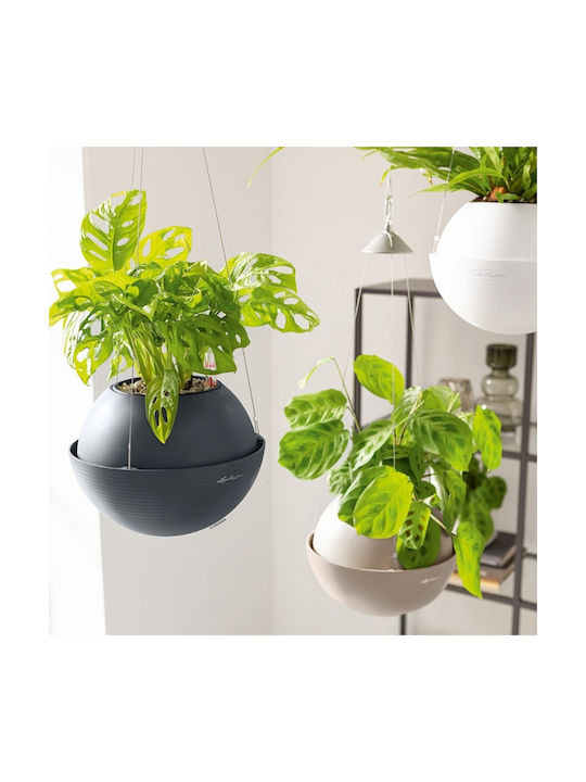 Lechuza Bola Pot Plastic White 32x32x25cm.