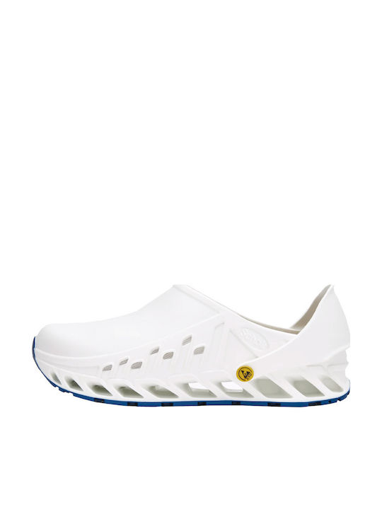 Scholl Anatomici Sabot Albe