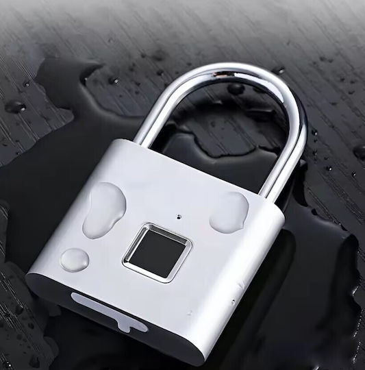Fingerprint Lacquer Zola Supports Up To 10 Fingerprints Micro-usb Charging Made Zinc Steel