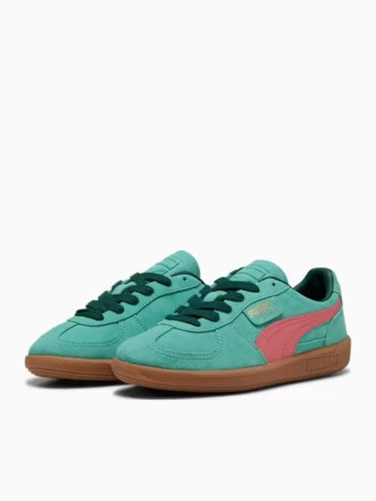 PUMA