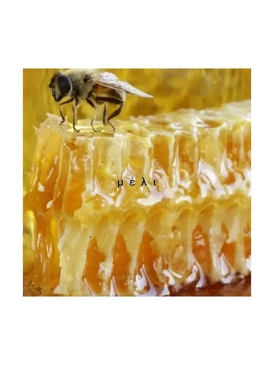 Lumânare aromatică din soia Față feminină Muză florală Cocos Mango