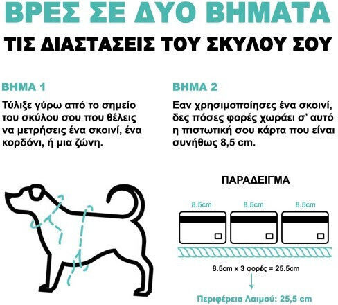 Zee Dog Λουρί/Οδηγός Σκύλου Ιμάντας σε Πράσινο χρώμα