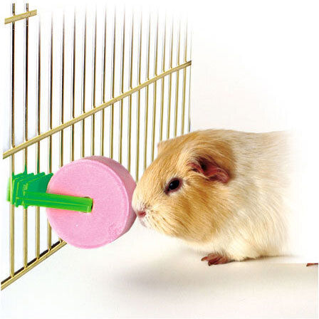 Kerbl Treat for Guinea Pig, Rabbit and Hamster 50gr