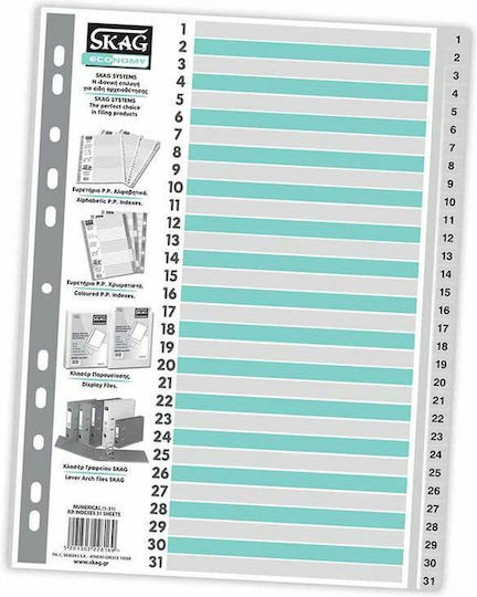 Skag Plastic Dividers for Documents A4 with Holes 31pcs