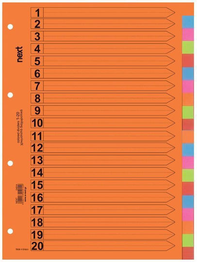 Next Paper Dividers for Documents A4 with Holes 10pcs Colorful 20 slots