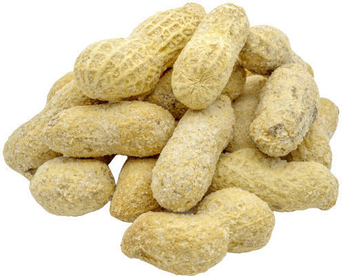 Peanuts Peanuts Raw with Shell Salted 500gr