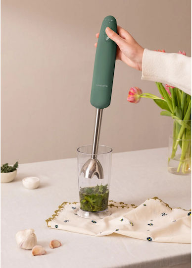 Create Blender De Mână Cu Tijă Din Inox 1000W Verde
