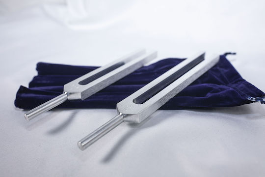 Therapeutic Tuning Fork Instruments Whole Body Tuning Fork C256hz & G384hz