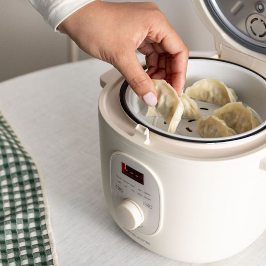 Create Rice Cooker 400W cu Capacitate 2lt