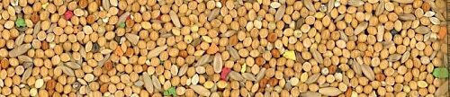 Manitoba Cocorite Bird Food for Budgerigars 1kg