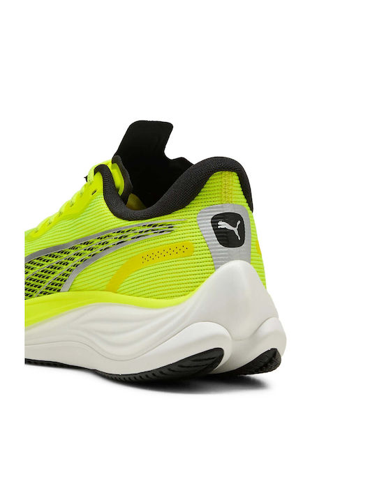Velocity Nitro 3 Мъжки Спортни обувки Running Жълти