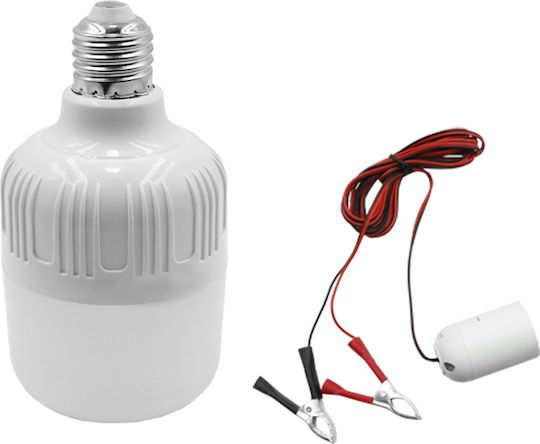LED Work Lamp 10W 12V 14SMD 6500K 800lm with Crocodile Clips OEM