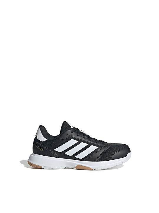 Ligra 8 Sport Shoes Volleyball Black