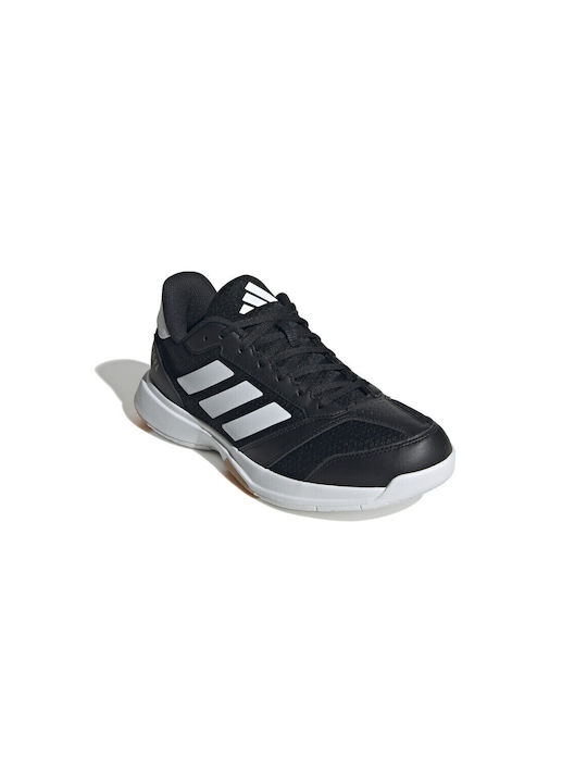 Ligra 8 Sport Shoes Volleyball Black