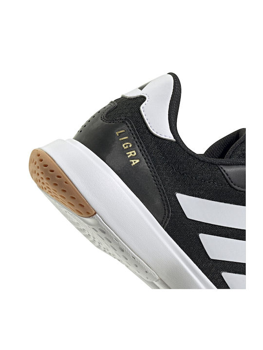 Ligra 8 Sport Shoes Volleyball Black