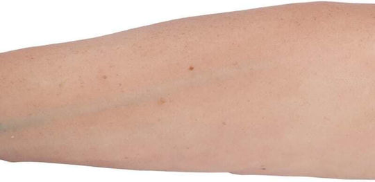 Erler Zimmer Appendages & Joints Model