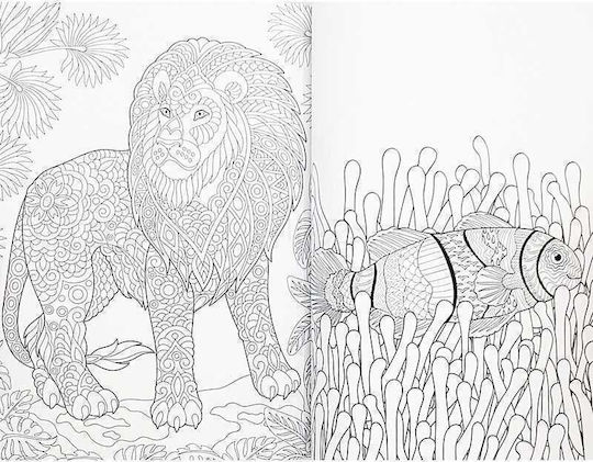 Colouring Book